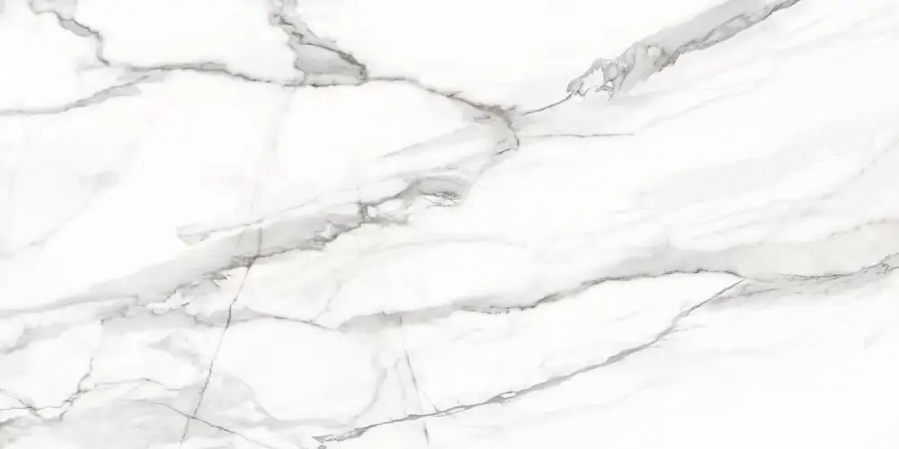 Omega Silver D12053M Матовый Керамогранит 60x120