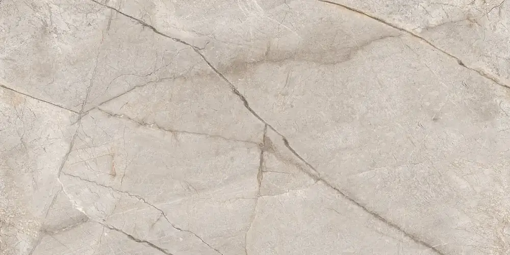 Silver Stone Carving N80016 Керамогранит 60x120