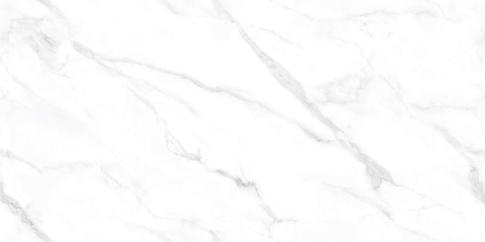 Marmo Statuario Endless NTT99506P Керамогранит 60x120