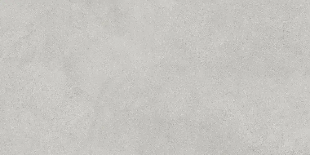 MicroCement Светло-Серый Матовый 8 мм K947891R Керамогранит 60x120