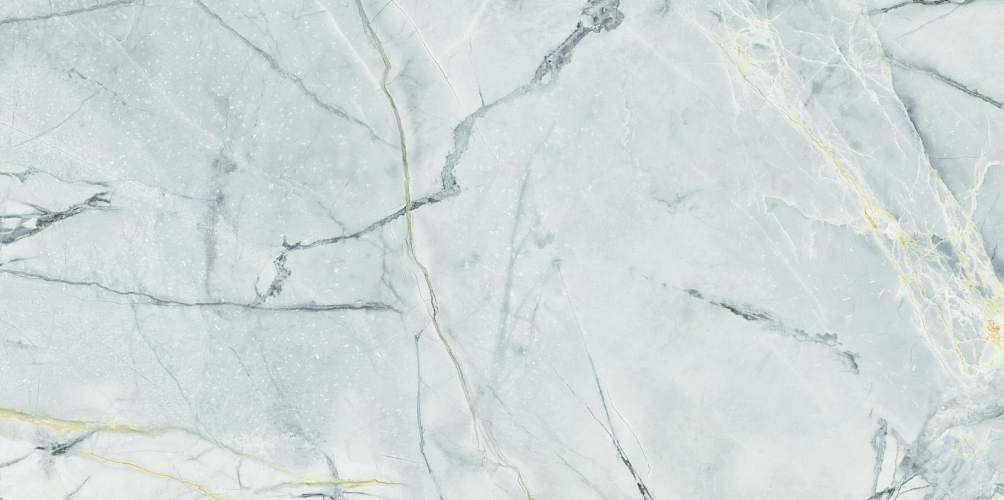 Albion Pulpis Dark WT9ALN23 Глянцевая 24,9x50