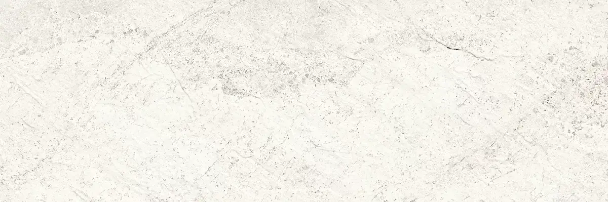 Nebraska Gray WT15NBR15R Матовая 24,6x74