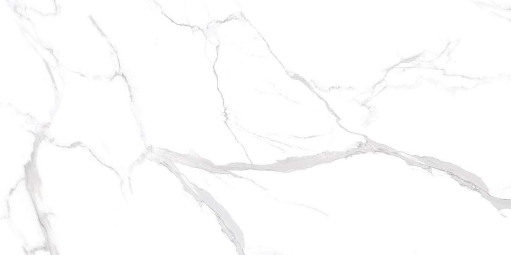 Marmo Statuario Ultra White NTT99512M Керамогранит 60x120