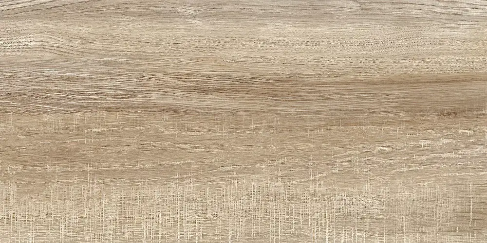 Euphoria Бежевый TWU2550EPH40 Матовая 24,9x50