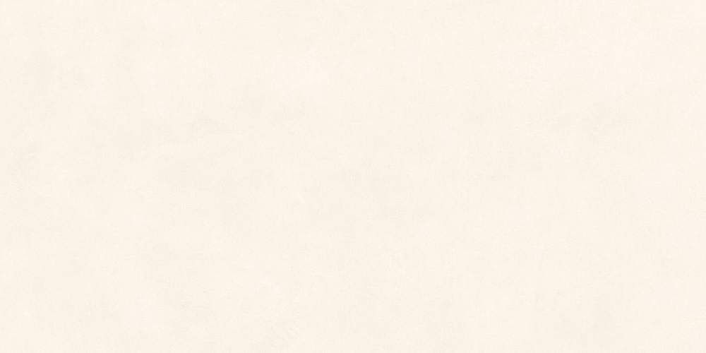 Bright Moon Брайт Мун RF126723 Матовый Рельефный Керамогранит 60x120