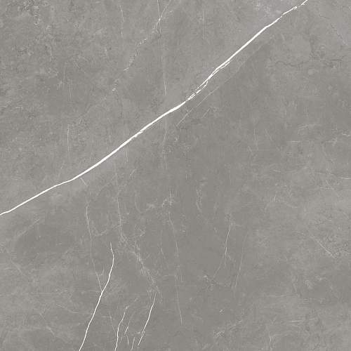 Elegant Grey Керамогранит 80x80