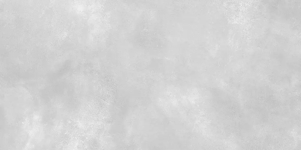 Konor Gray WT9KON15 Матовая 24,9x50