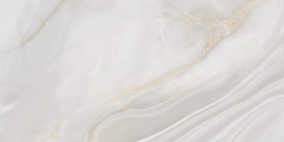 Creonyx серый 216334 Полированный Керамогранит 60x120