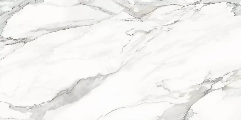 Omega Silver D12053M Матовый Керамогранит 60x120