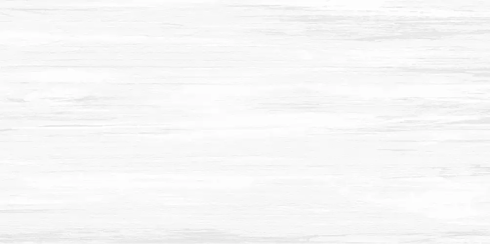 Vincenzo Grigio WT9VIN25 Матовая 24,9x50