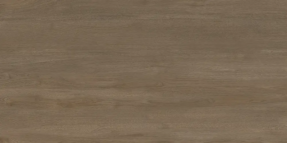 Walnut Dark D120248M Матовый Керамогранит 60x120