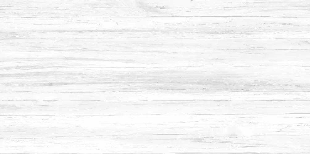 Vincenzo Casa WT9VIC25 Матовая 24,9x50