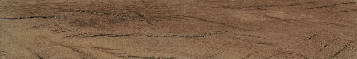 FS Forest Plank Natural 39699 Матовая 7,3x45