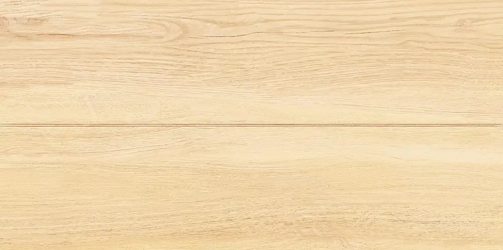 Briole Wood WT9BRE11 Глянцевая 24,9x50