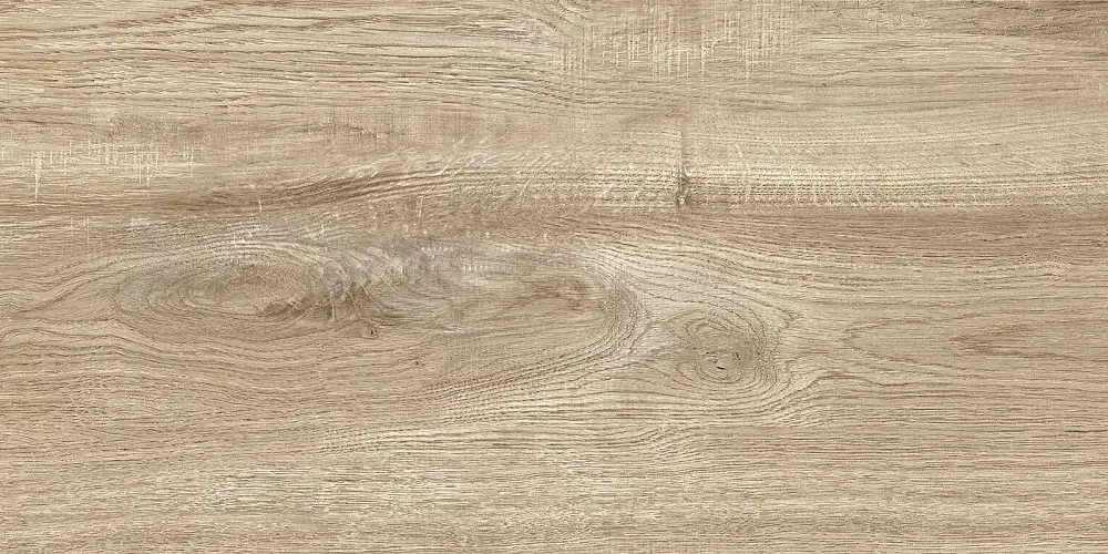 Euphoria Бежевый TWU2550EPH40 Матовая 24,9x50