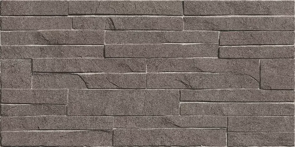 Discover Коричневый TWU2550DCV24 Матовая 24,9x50