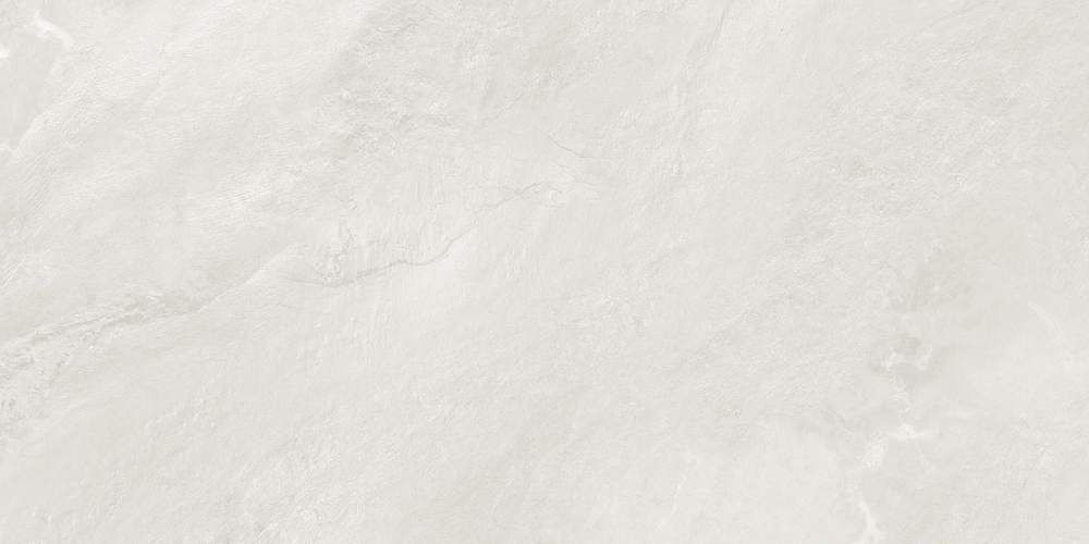 Argenta Gray 60120RGE15M Матовый Керамогранит 60x120