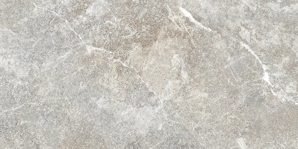 Persey Серый TWU2550PRS70 Матовая 24,9x50