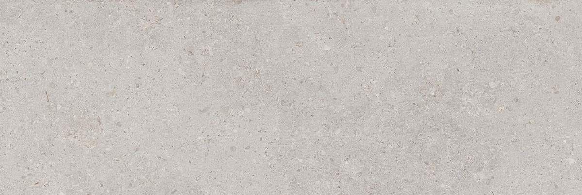 Риккарди Серый Светлый Матовый Обрезной 14053R 40x120