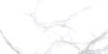 Splendida Statuario Chic Polished N20531 Керамогранит 60x120