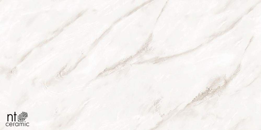 Empire Pearl Endless Керамогранит 60x120