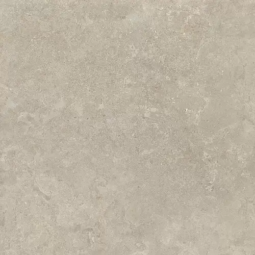 RC Shell LB Керамогранит 60x60