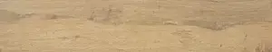 Dexter Roble N30052 Керамогранит 23x120