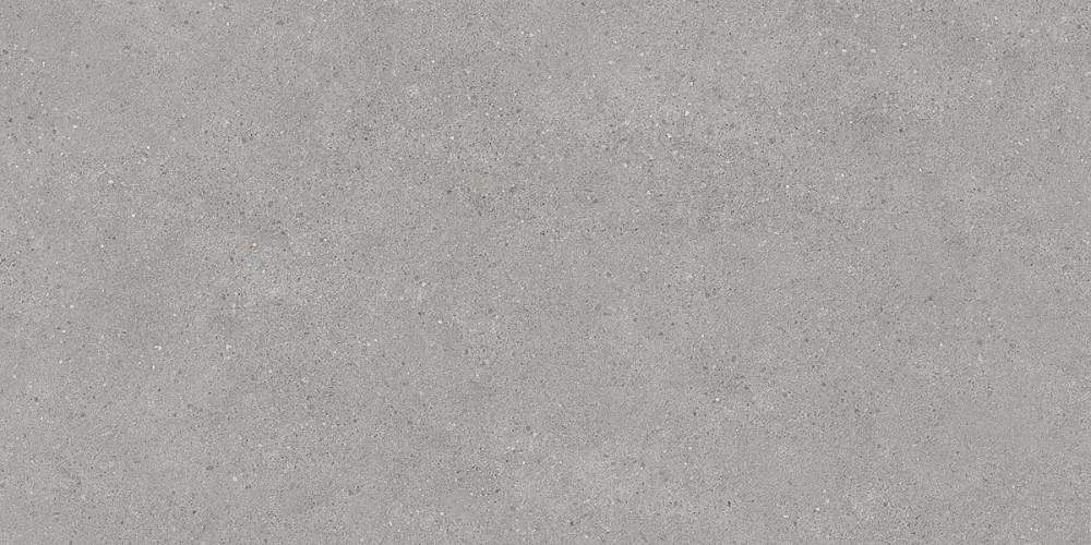 Фондамента Серый Светлый Обрезной DL500820R Керамогранит 60х119,5