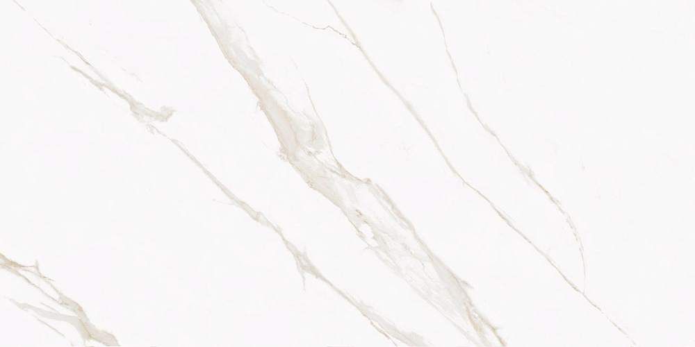 Butik  K-2021/LR/600x1200x10 Керамогранит 60x120