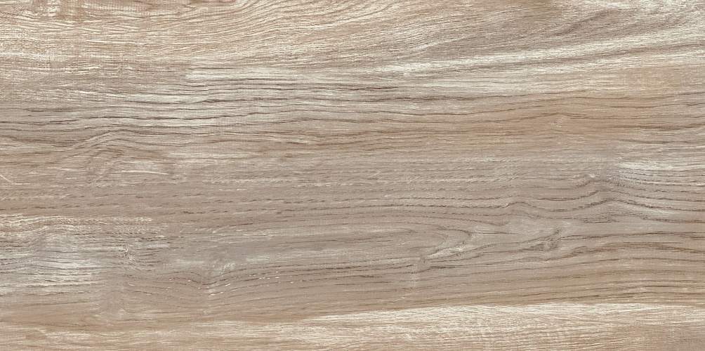 Detroit Wood WT9DET08 Глянцевая 24,9x50