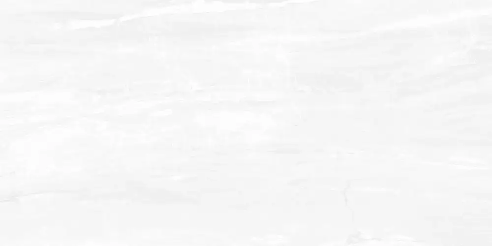 Interni Grey WT9INR15 Глянцевая 25x50