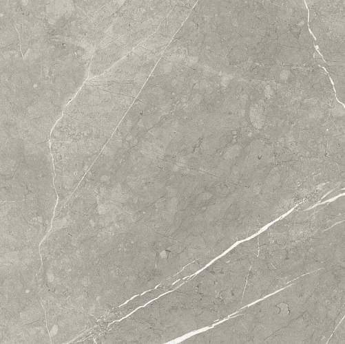 Bright And Shiny BB6NTT9102P Керамогранит 60x60