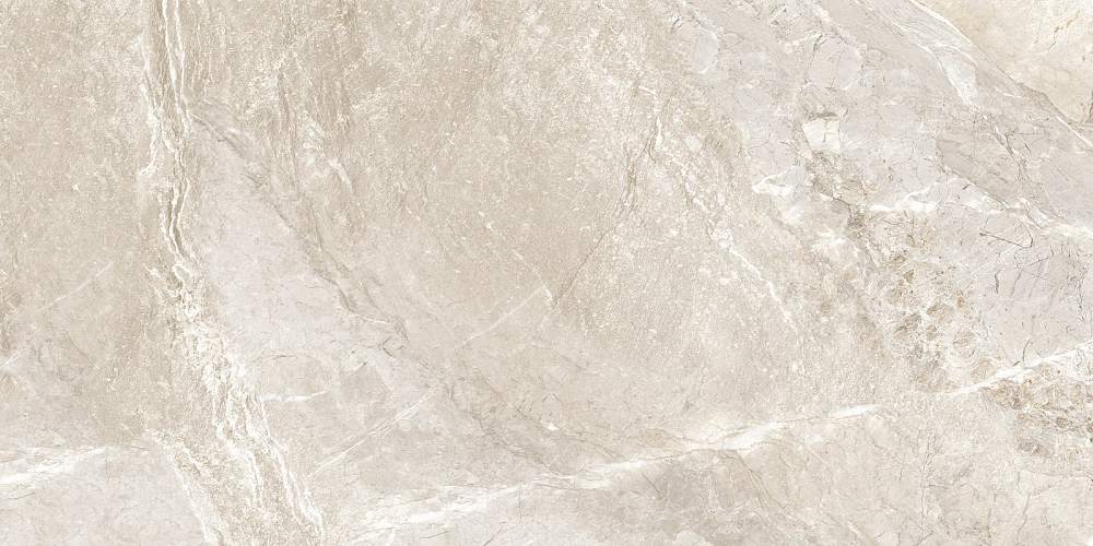 Wild Gold D120262M Матовый Керамогранит 60x120