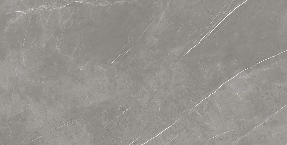 Elegant Grey Lapp Керамогранит 80x160