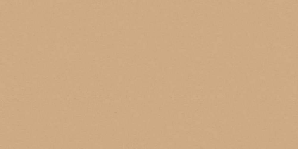 Rainbow RW 15 Неполированный Керамогранит 60x120