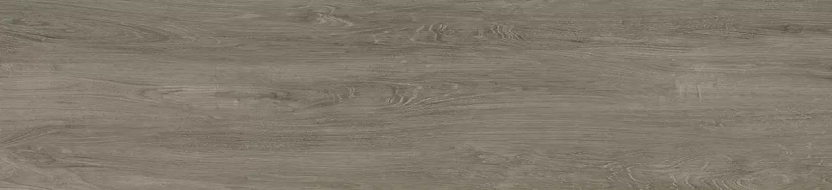 Milton Серый GFA2090MLT40R Матовый Керамогранит 20x90