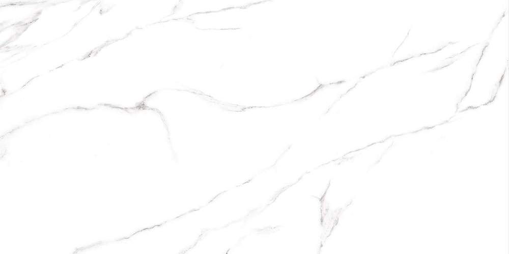 Carrara Белый GFU60120CRR00R Матовый Керамогранит 60x120