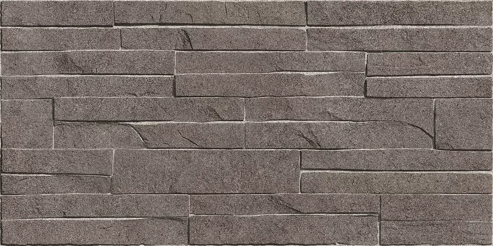 Discover Коричневый TWU2550DCV24 Матовая 24,9x50