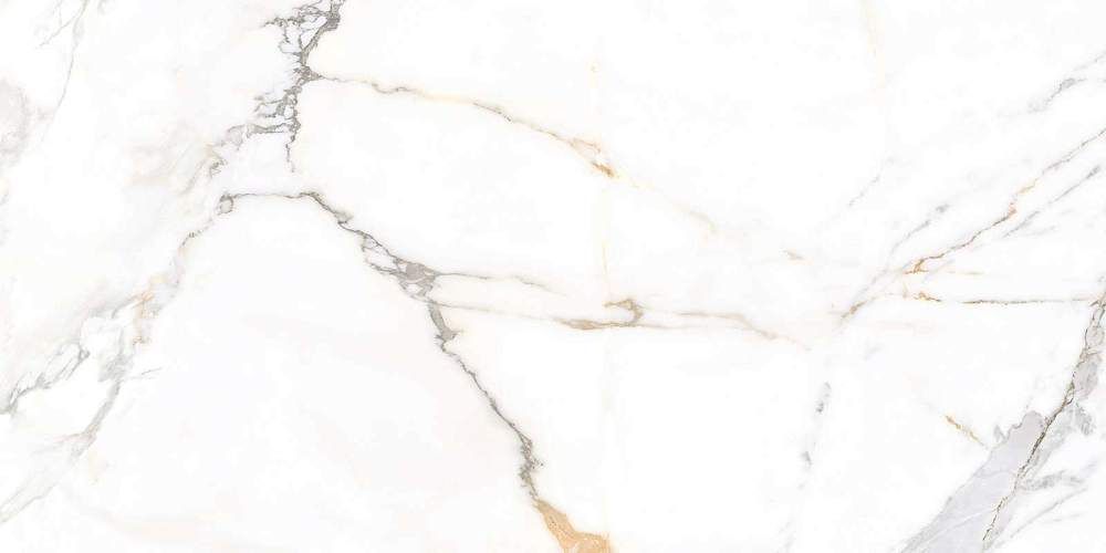 Trendy Белый GFU60120TRD04R Матовый Керамогранит 60x120