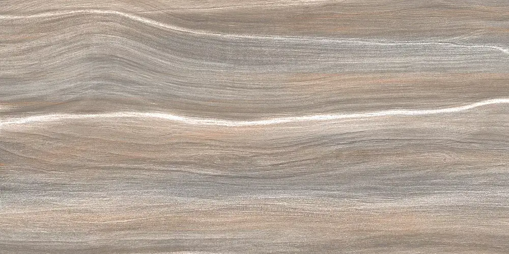 Esprit Wood WT9ESR21 Глянцевая 25x50