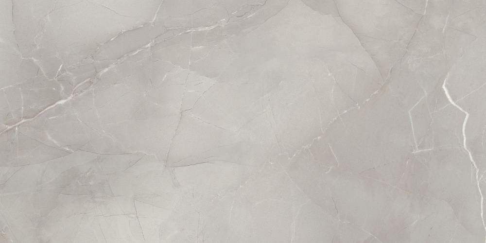 Passion Lux 90 Grey Глянцевая 45x90