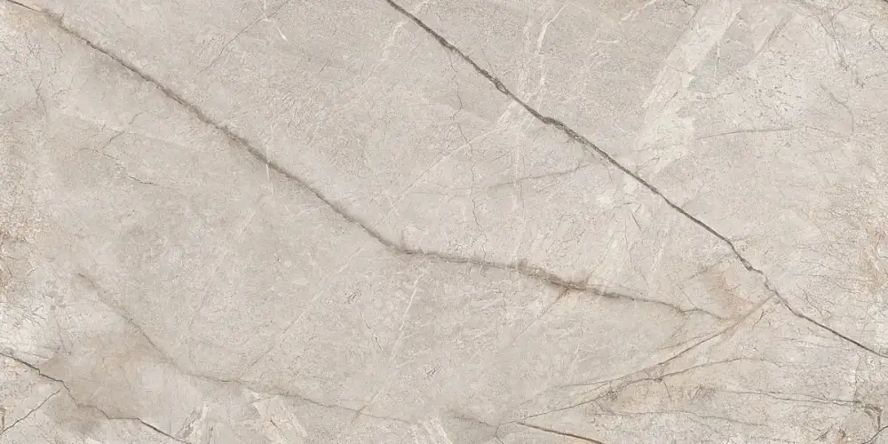 Silver Stone Carving N80016 Керамогранит 60x120