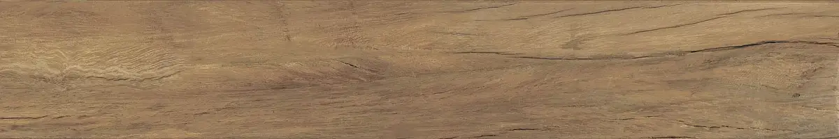 FS Forest Plank Natural 39699 Матовая 7,3x45