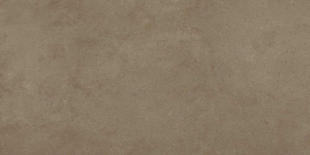 Fossil Desert Бежевый Матовый Керамогранит 60x120