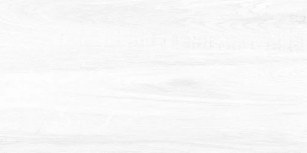 Briole White WT9BRE00 Глянцевая 24,9x50