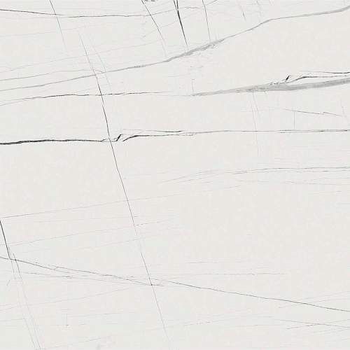 Titanium White Pulido Керамогранит 80x80