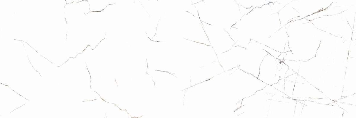 Frost White WT15FRR00R Глянцевая 24,6x74