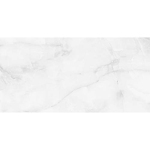 Antisky Grey light Polished Керамогранит 60x120