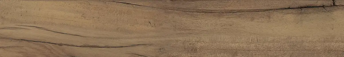 FS Forest Plank Natural 39699 Матовая 7,3x45