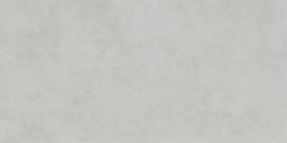MicroCement Светло-серый Матовый 9 мм R10A K947891R Керамогранит 60x120